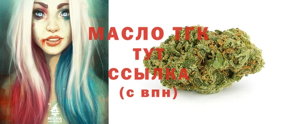 дмт Дмитровск