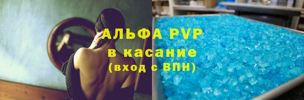гашик Дмитриев