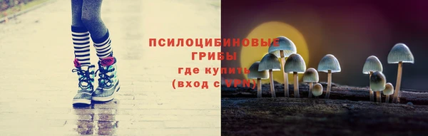 гашик Дмитриев