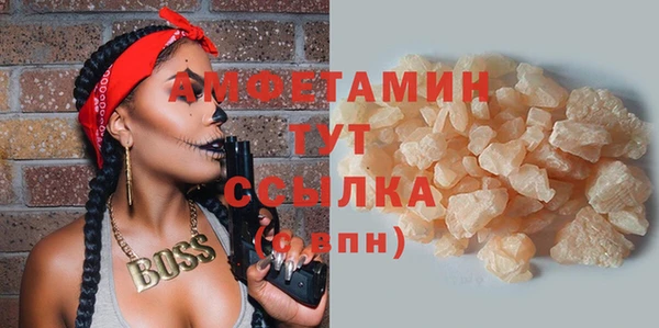 амф Гусиноозёрск