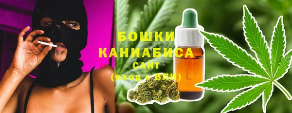 дмт Дмитровск