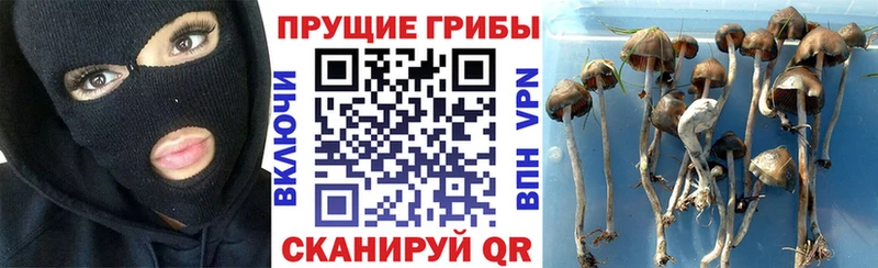 Галлюциногенные грибы GOLDEN TEACHER  Купить закладки  Кремёнки 